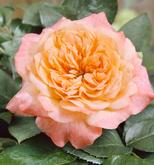 Замок Вомаркю (Шато дэ Вомаркю) 