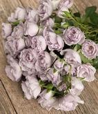 Еверластинг