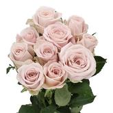 Ла Віда Лока